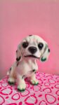 White & Black Dog Figurine Showpiece