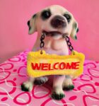 Polyresin Eco Friendly Dog Idol